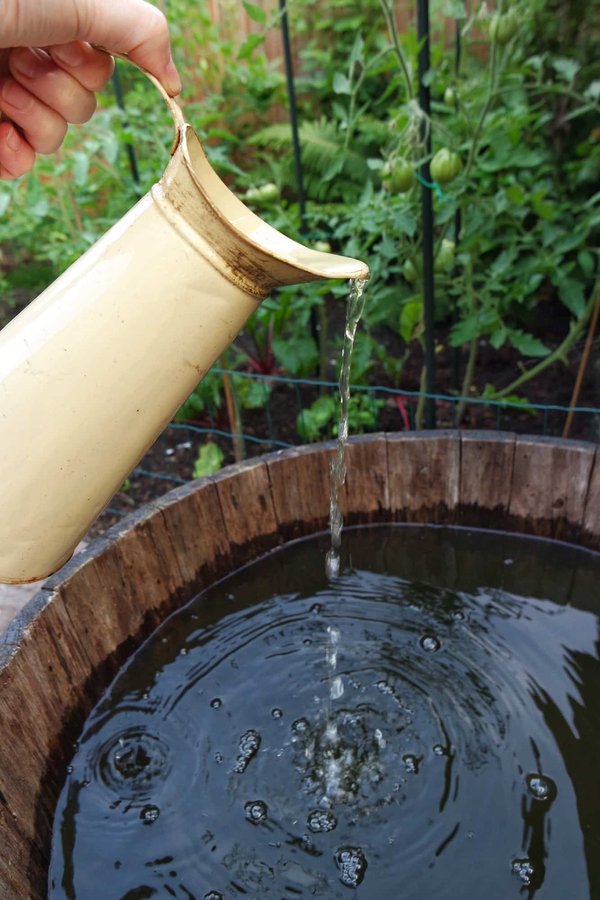 How Can You Implement a Rainwater Collection System in a Terraced House Garden?